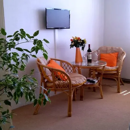 Apartman Zdar Zdar Nad Sazavou Exterior photo