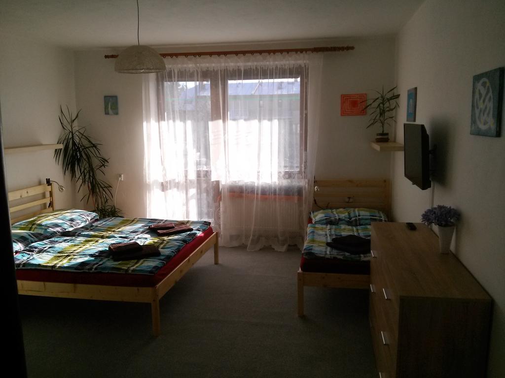 Apartment Zdar